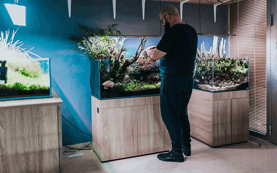 Aqua Mart